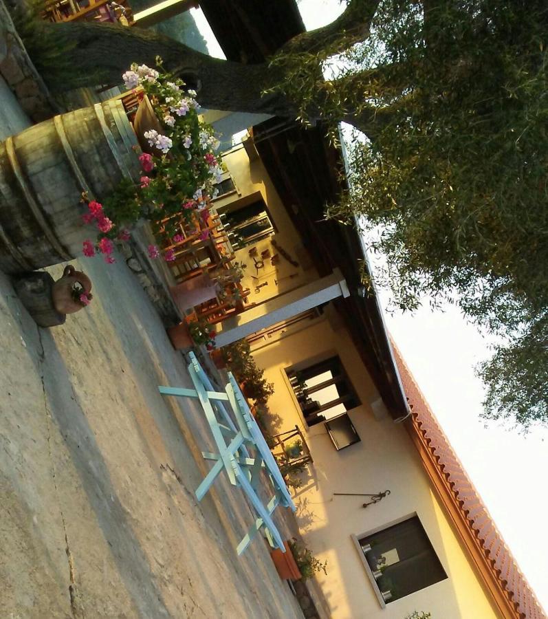 B&B La Taerra Porto San Paolo  Ngoại thất bức ảnh
