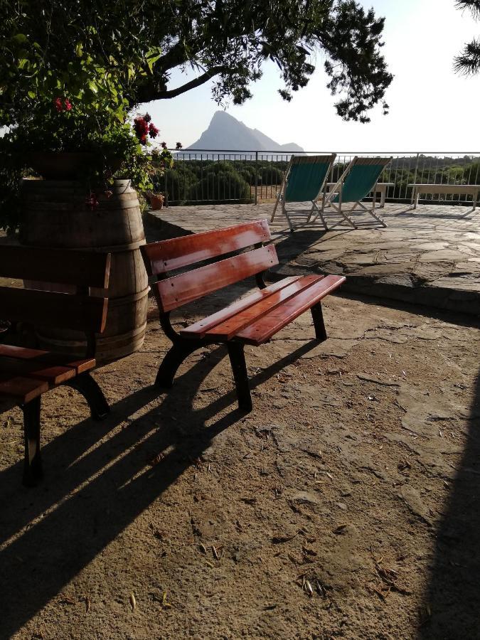 B&B La Taerra Porto San Paolo  Ngoại thất bức ảnh